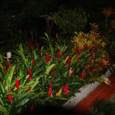 L'Ecomusee Creole De La Guadeloupe ซานต์-โรส ภายนอก รูปภาพ