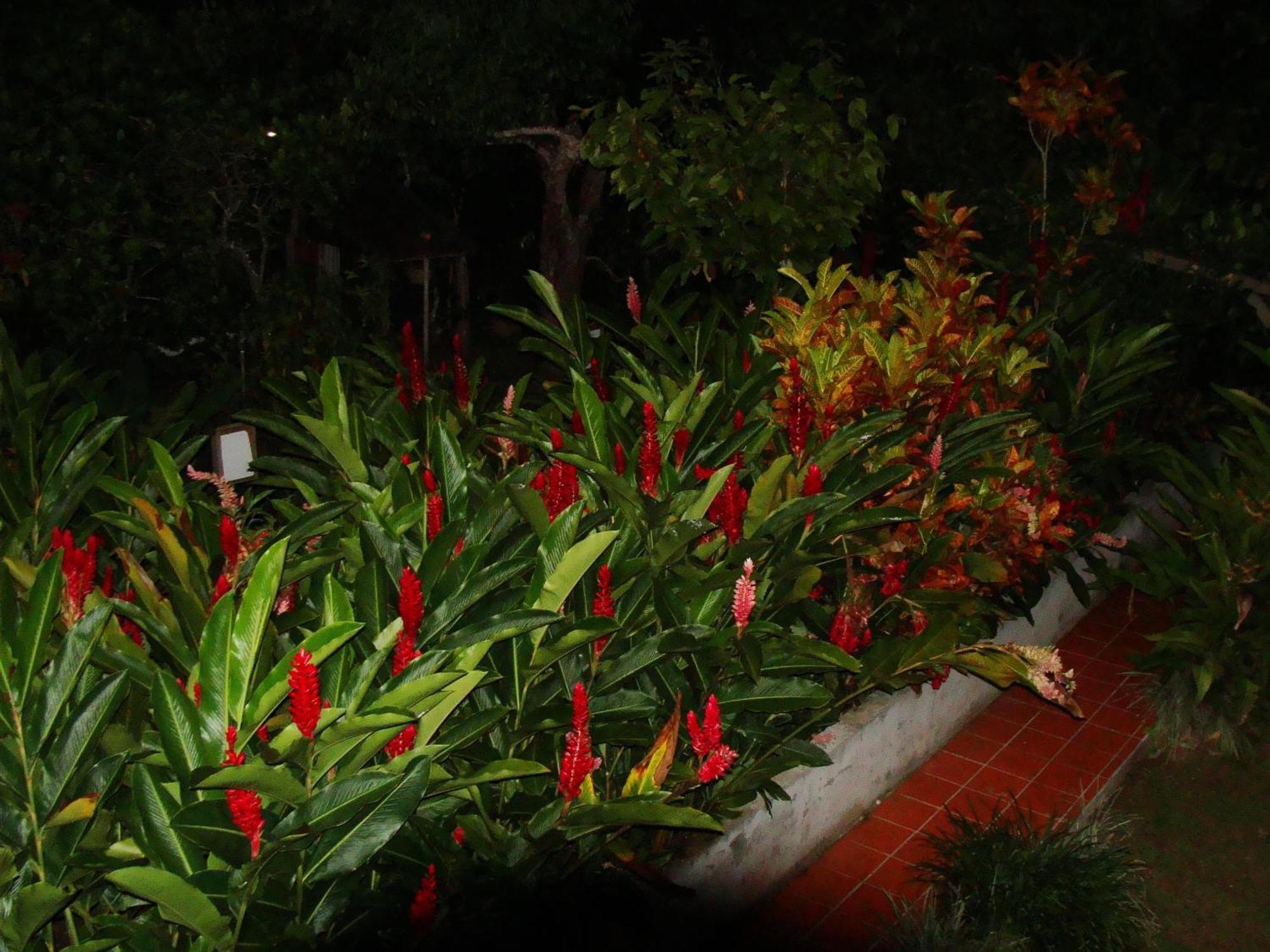 L'Ecomusee Creole De La Guadeloupe ซานต์-โรส ภายนอก รูปภาพ