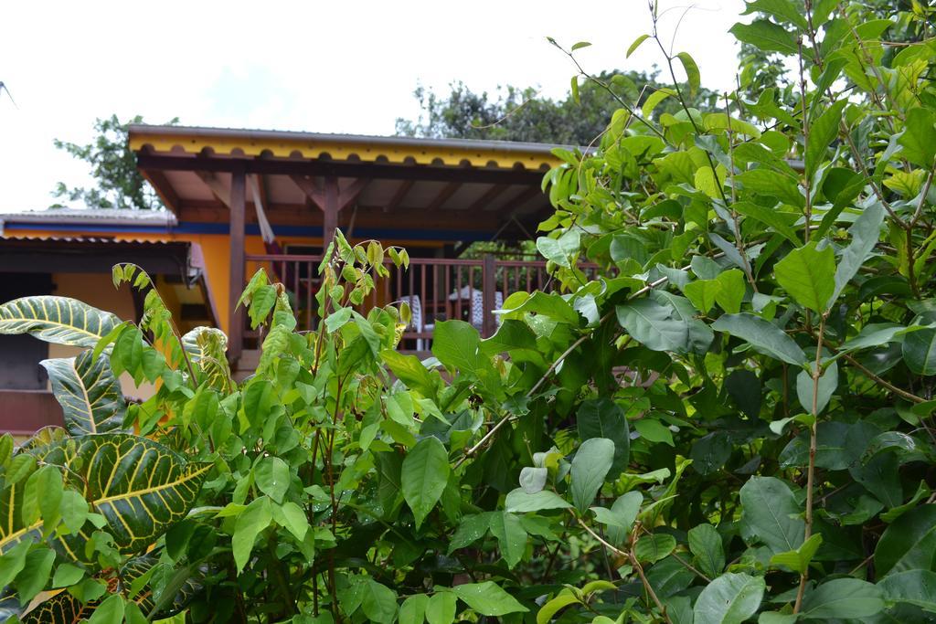 L'Ecomusee Creole De La Guadeloupe ซานต์-โรส ภายนอก รูปภาพ